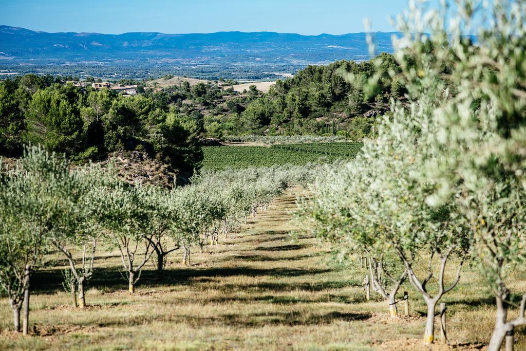 Domaine Calmel & Joseph Villa Montirat  Exteriör bild