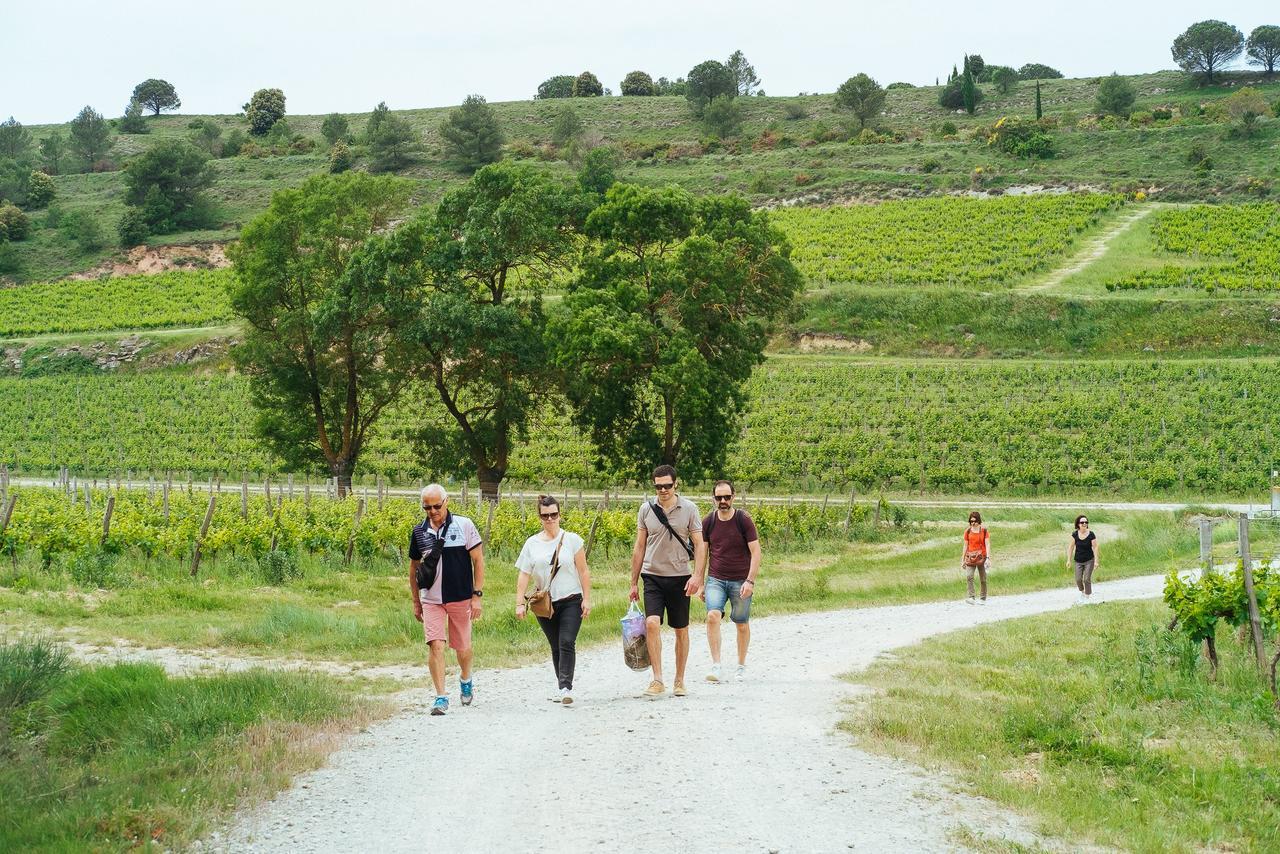 Domaine Calmel & Joseph Villa Montirat  Exteriör bild